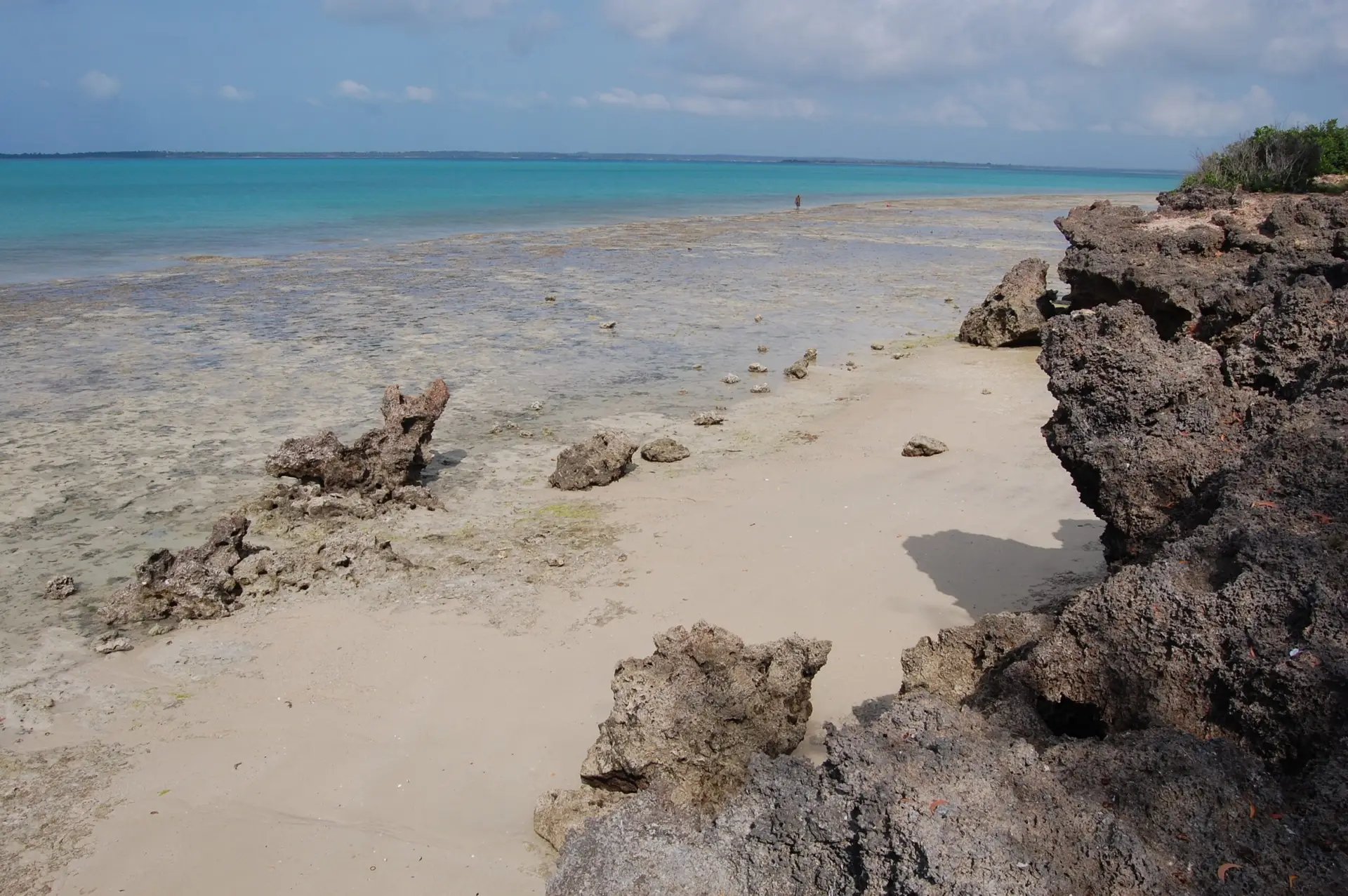 Mnemba Island Atoll (Snorkeling & Dolphins)
